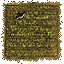 Kép