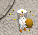 Kép