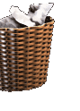 Kép